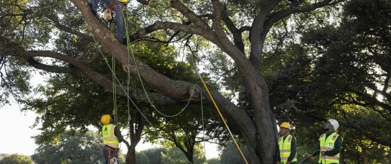 {SERVICE_NAME} project in Frisco