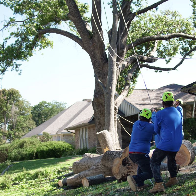 {SERVICE_NAME} project in Frisco